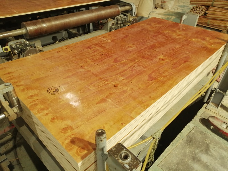 客戶一看這個建筑模板——靚插圖 客戶一看這個建筑模板——靚插圖